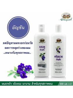 ชุด แชมพู+ครีมนวดผมอัญชัน อภัยภูเบศร