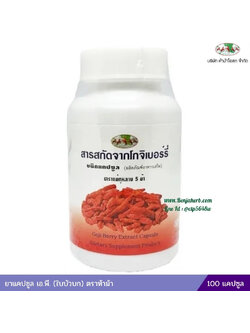 โกจิเบอร์รี่ สารสกัดจากโกจิเบอร์รี่ชนิดแคปซูล ตราแม่กุหลาบ 5 ม้า ห้างขายยาห้าม้าโอสถ