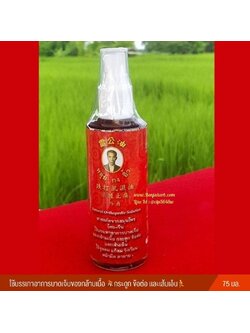 สเปร์แก้ปวดเมื่อย หลุ่ยกงอิ้ว สเปรย์สมุนไพรไทย-จีน 75 มล.