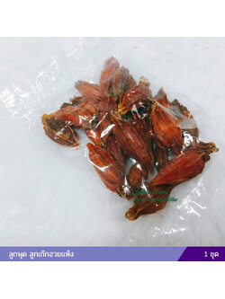 ลูกพุด ลูกเก๊กฮวยแห้ง