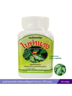 แคปซูลใบย่านาง สมุนไพรดวงพร (100 แคปซูล)