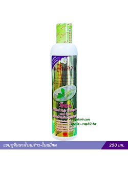 แชมพูจินดาน้ำนมข้าว-ใบหมี่สด (250 มล.)