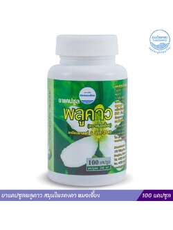 ยาแคปซูลพลูคาว สมุนไพรคงคา หมอเอี้ยง 100 แคปซูล