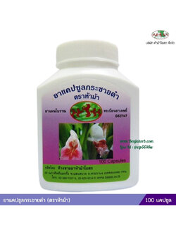 ยาแคปซูลกระชายดำ ห้าม้าโอสถ (ขวด)