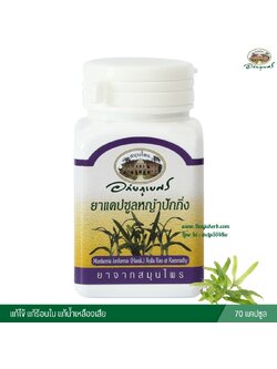 แคปซูลหญ้าปักกิ่ง อภัยภูเบศร