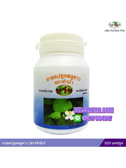 ยาแคปซูลพลูคาว ห้าม้าโอสถ (ขวด)