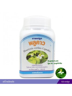 ยาแคปซูลพลูคาว สมุนไพรดวงพร (100 แคปซูล)
