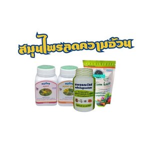 ผลิตภัณฑ์ลดความอ้วน