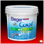BegerCool All Plus for Ceiling สีเบเยอร์คูล ออลพลัส สำหรับทาฝ้าเพดาน