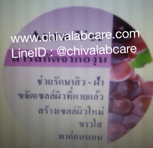 สติกเกอร์ แบบกลม เปลี่ยนชื่อแบรนด์ได้ เปลี่ยนชื่อครีมได้ พร้อมพิมพ์