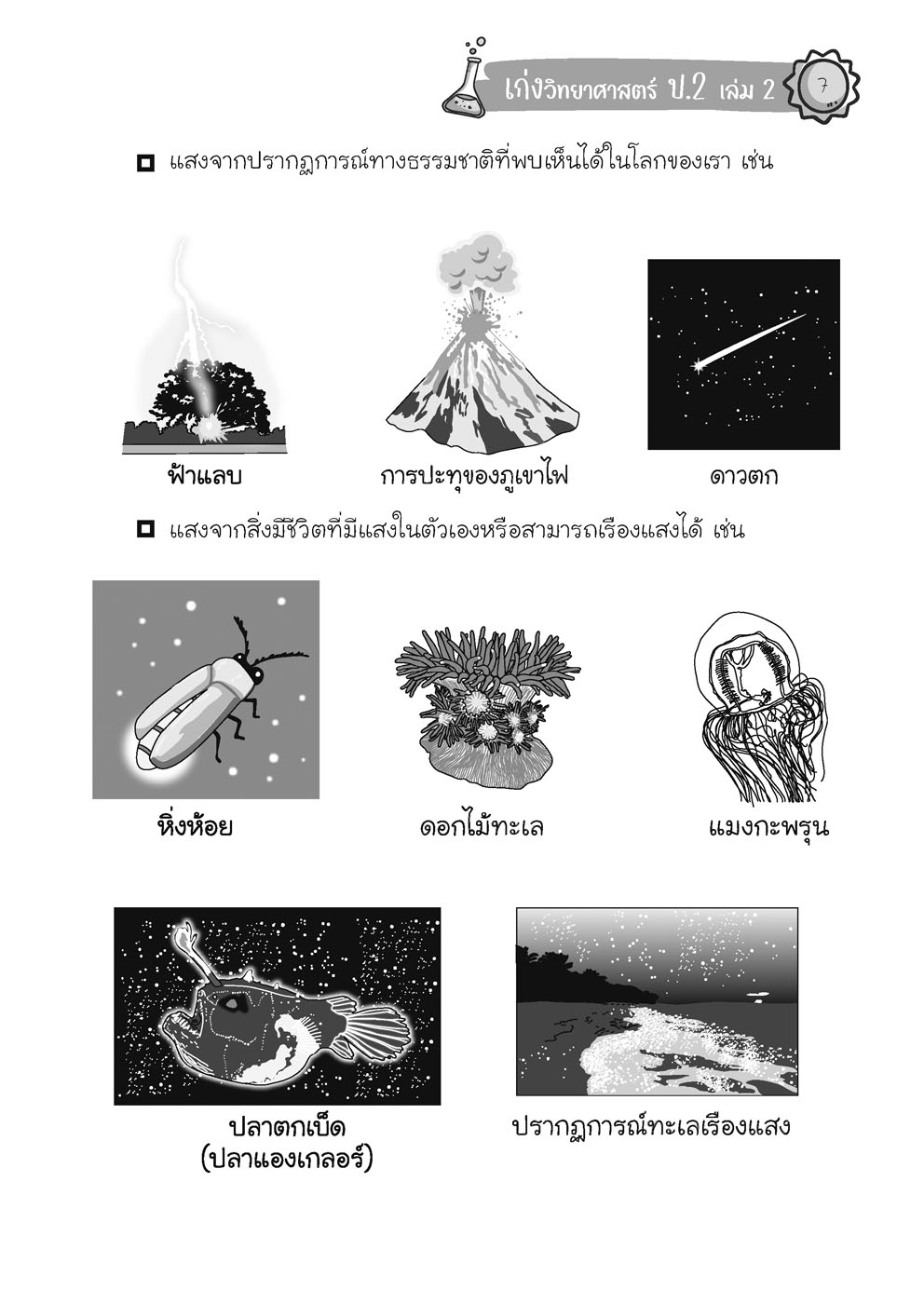 เก่ง วิทยาศาสตร์ ป. 2 เล่ม 2 (หลักสูตรใหม่) โดย พ.ศ.พัฒนา