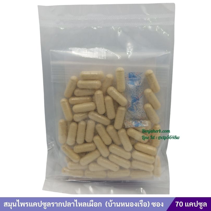 สมุนไพรแคปซูลรากปลาไหลเผือก (บ้านหนองเรือ) 70 แคปซูล ซอง