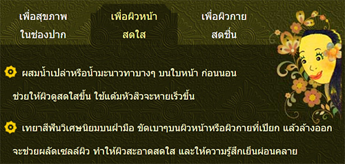 ยาสีฟันวิเศษนิยม VISET-NIYOM (แบบซอง 40 กรัม)
