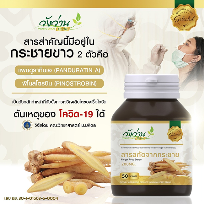 สารสกัดจากกระชาย กระชายขาวสกัด วังว่านเฮิร์บ 50 แคปซูล