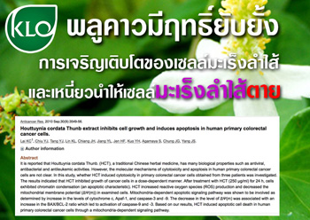 สรรพคุณพลูคาว