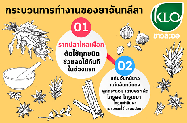 ยาแก้ไข้ชนิดเม็ด จันทน์ลีลา ขาวละออ KHAOLAOR 60 เม็ด