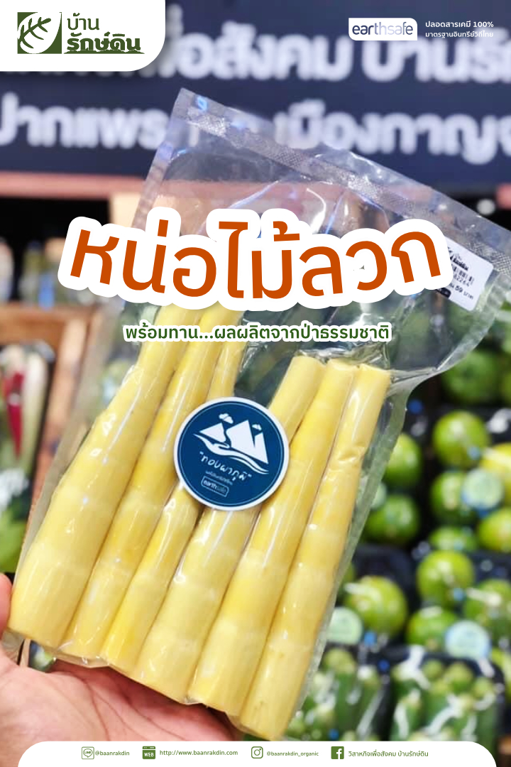 บ้านรักษ์ดิน หน่อไม้ลวกพร้อมทาน