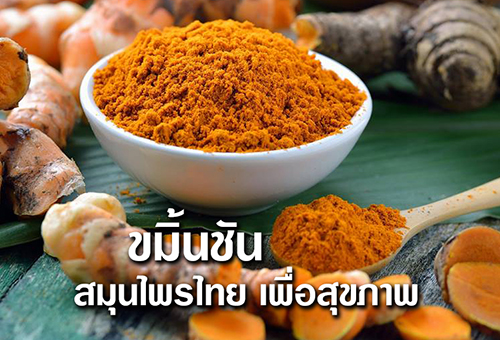 เคอร์มิน500 ผงขมิ้นชันชนิดแคปซูล คุณภาพส่งออก โดยขาวละออ 100 แคปซูล