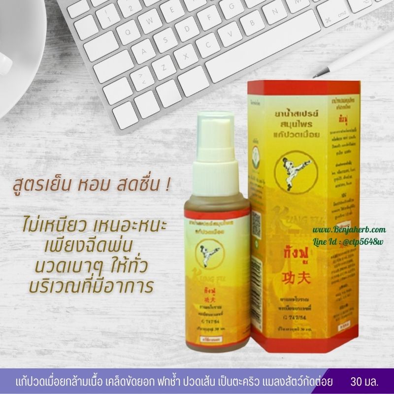 ยาน้ำสเปรย์สมุนไพรแก้ปวดเมื่อย ตรา กังฟู 30 cc