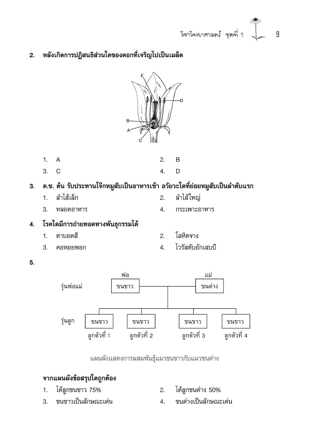 ลุยข้อสอบ O-Net ป.6 รวม 4 วิชา โดย พ.ศ. พัฒนา