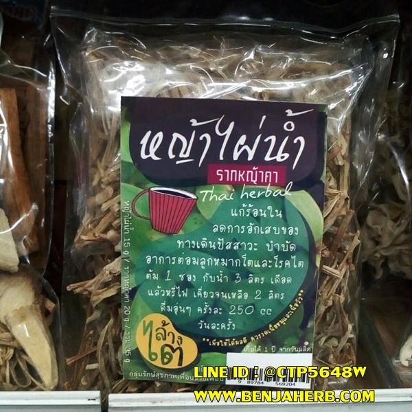 หญ้าไผ่น้ำล้างไต ผสมรากหญ้าคา ต่อมลูกหมากโต รักษาโรคไต