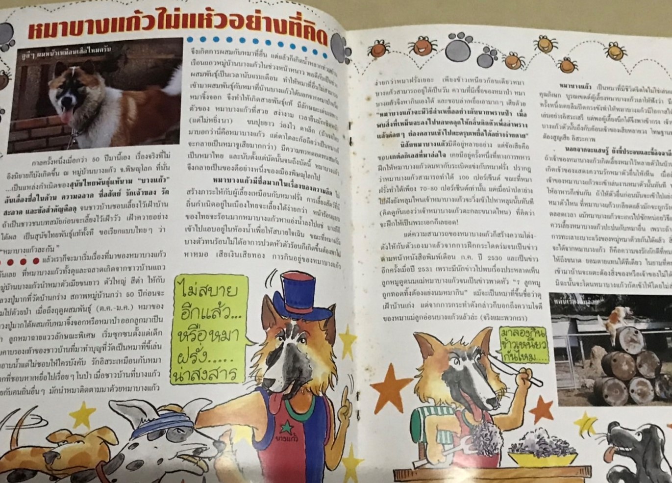 ไดโนสาร ปีที่ 4 (มกราคม 2537) ฉบับที่ 42 (ไม่มีแถมแสตมป์ไดโนเสาร์นะคะ) นิตยสารเพื่อสิ่งแวดล้อมที่ดีสำหรับเด็ก