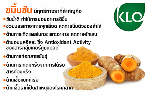 เคอร์มิน500 ผงขมิ้นชันชนิดแคปซูล คุณภาพส่งออก โดยขาวละออ 100 แคปซูล