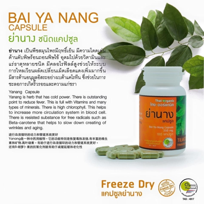 ย่านางแคปซูล ไทยออจินิค (100 แคปซูล)