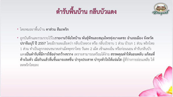 อภัยบี อภัย-บี กลีบบัวแดงชนิดแคปซูล อภัยภูเบศร