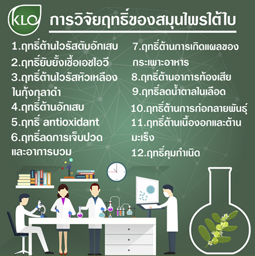 ยาเม็ดลูกใต้ใบ ขาวละออ ตราดอกว่าน 100 เม็ด