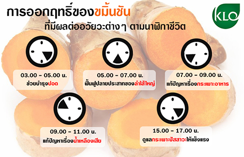 เคอร์มิน500 ผงขมิ้นชันชนิดแคปซูล คุณภาพส่งออก โดยขาวละออ 100 แคปซูล