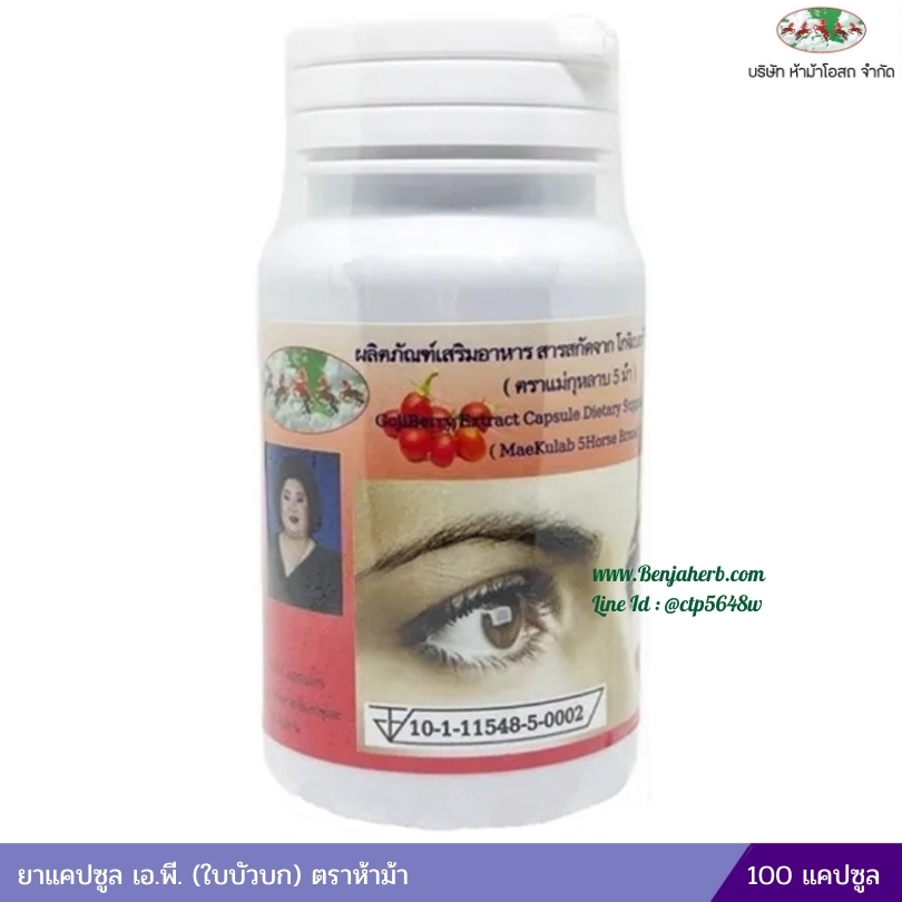 โกจิเบอร์รี่ สารสกัดจากโกจิเบอร์รี่ชนิดแคปซูล ตราแม่กุหลาบ 5 ม้า ห้างขายยาห้าม้าโอสถ