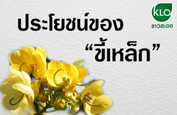 ประโยชน์ของขี้เหล็ก