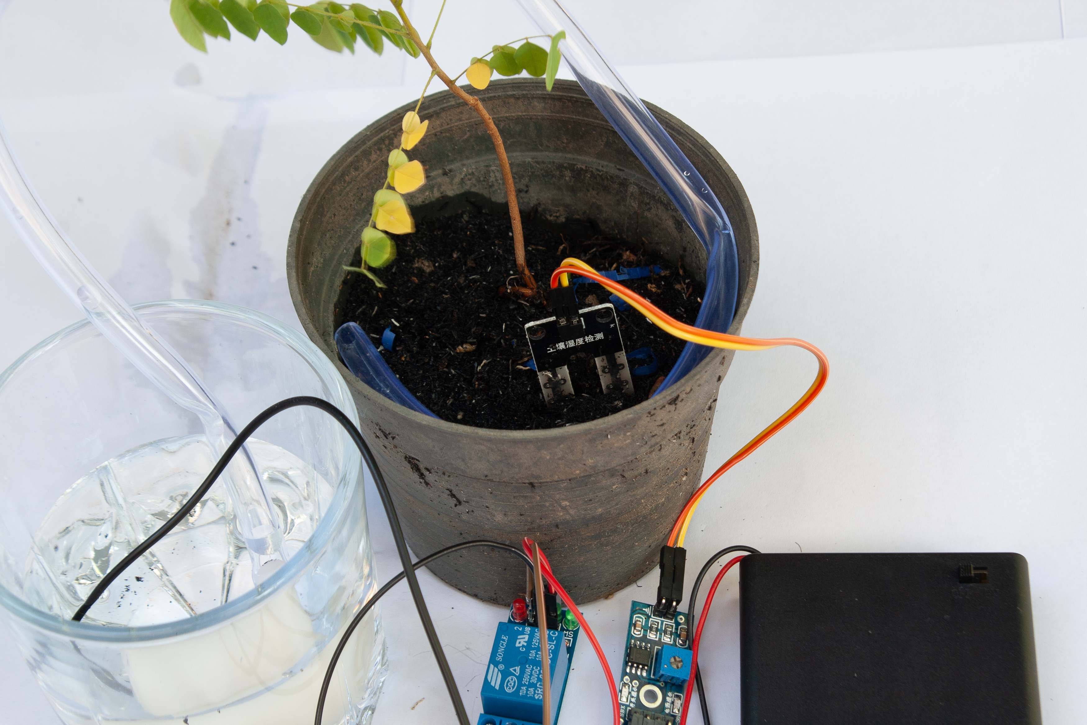 ชุดประกอบระบบรดน้ำต้นไม้อัตโนมัติอย่างง่าย Simple Plant Watering System DIY Kit