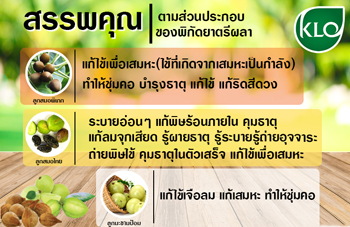 สรรพคุณตรีผลา