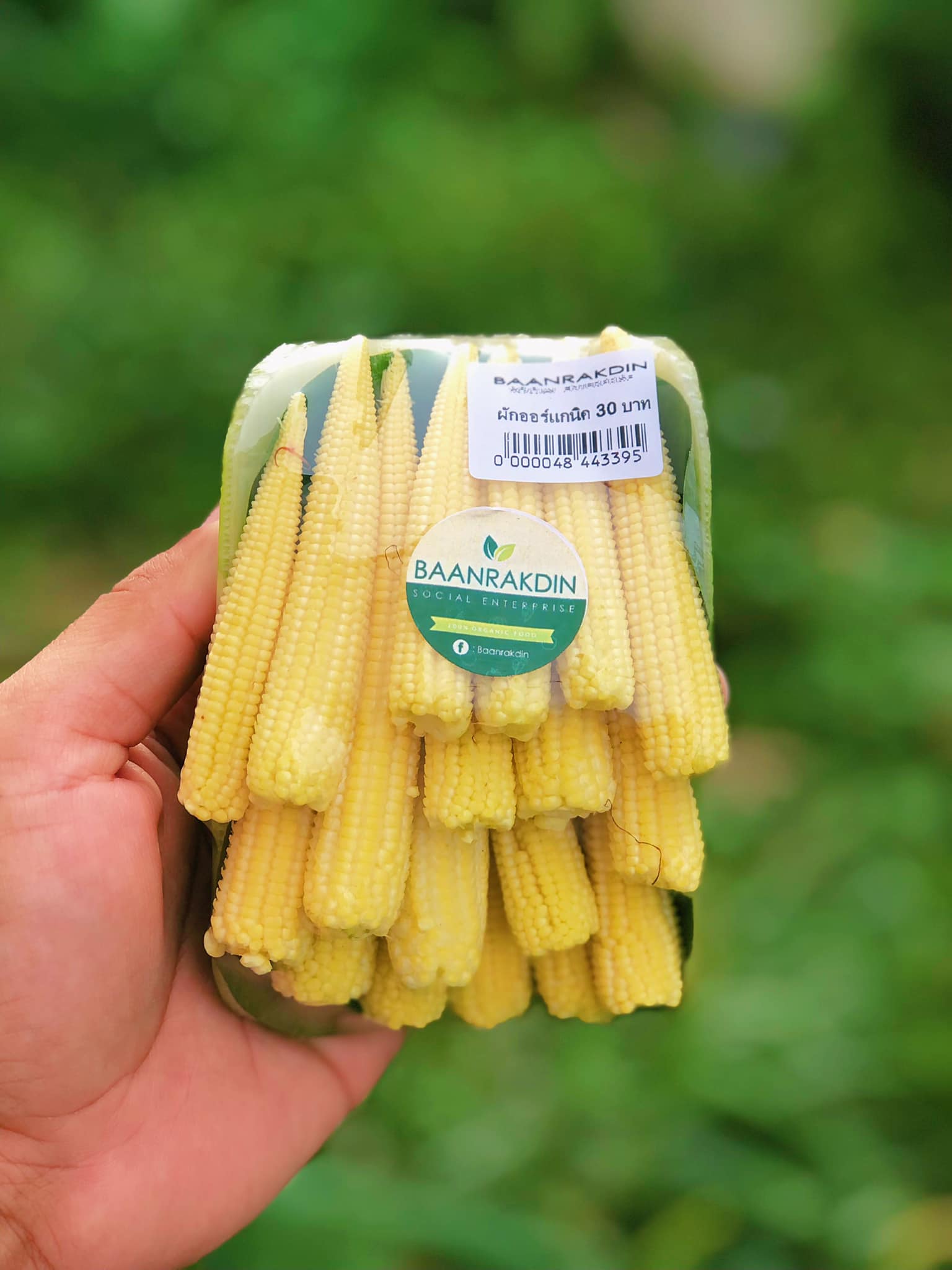 บ้านรักษ์ดิน ข้าวโพดอ่อนออร์แกนิค 150 กรัม