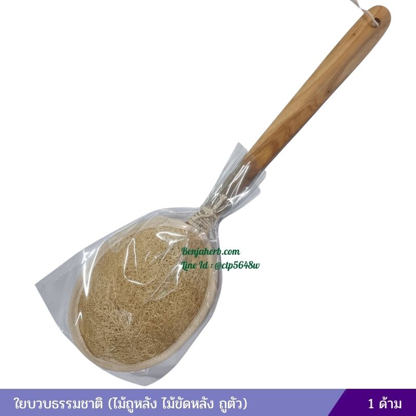 ใยบวบธรรมชาติ วงรีมีด้าม (ไม้ถูหลัง ไม้ขัดหลัง ถูตัว)