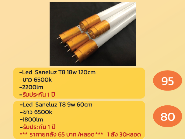 -Led Saneluz T8 18w 120cm