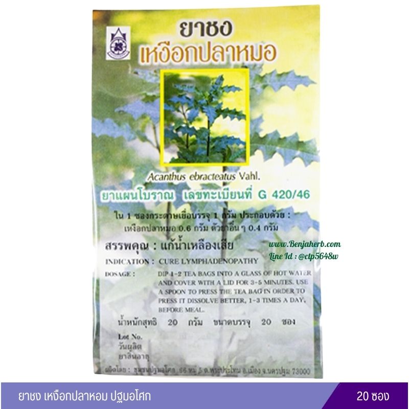 ยาชงเหงือกปลาหมอ ปฐมอโศก