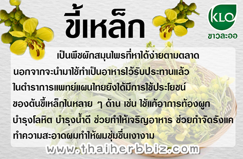 ยาเม็ดใบขี้เหล็ก ขาวละออ ตราดอกว่าน 100 เม็ด