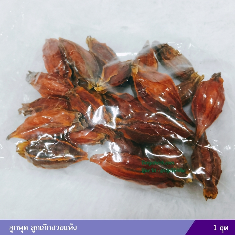 ลูกพุด ลูกเก๊กฮวยแห้ง