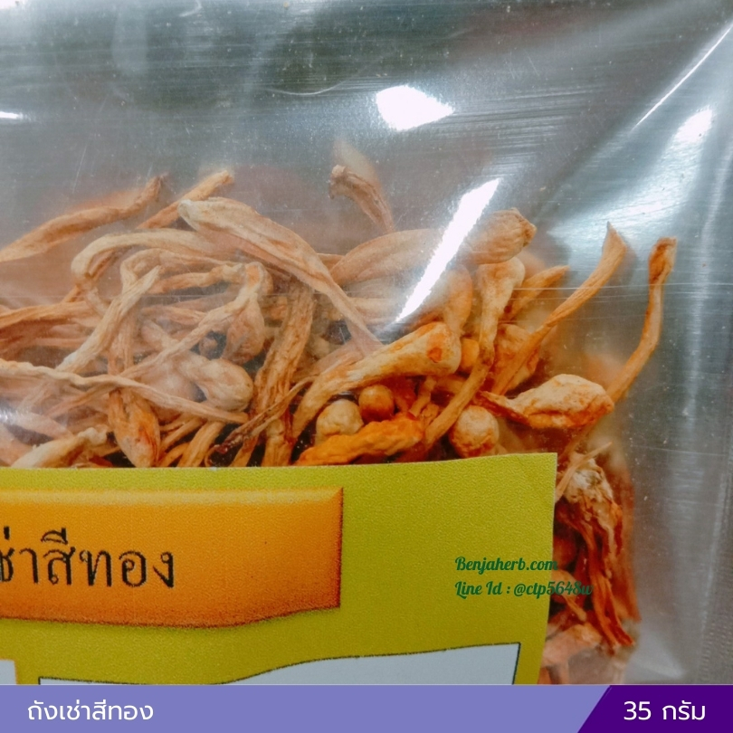 ถังเช่าสีทอง 35 กรัม