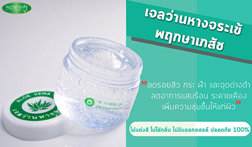เจลว่านหางจระเข้รักษาสิว พฤกษาเภสัช (50g.)