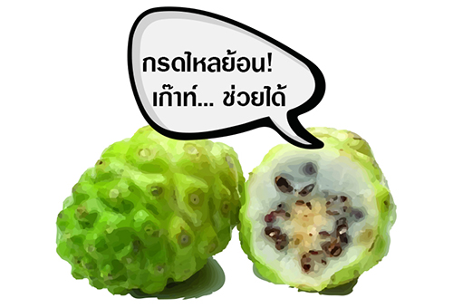 โมรินแคปซูล ขาวละออ ยาลูกยอสกัด 60 แคปซูล