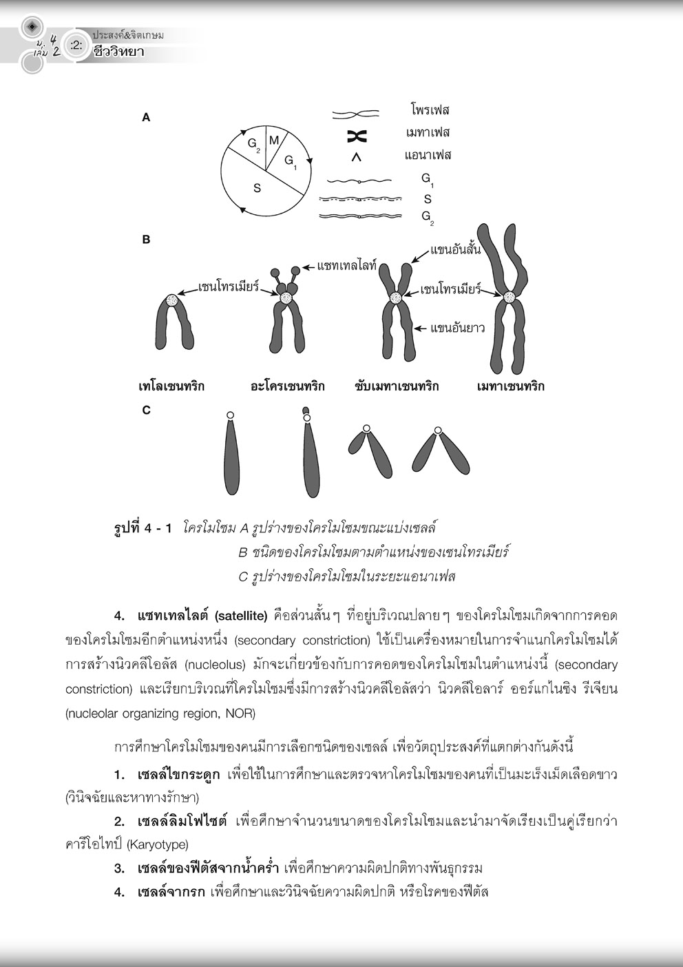 คู่มือ ชีววิทยา เพิ่มเติม ม. 4 เล่ม 2 (หลักสูตรใหม่) โดย พ.ศ.พัฒนา