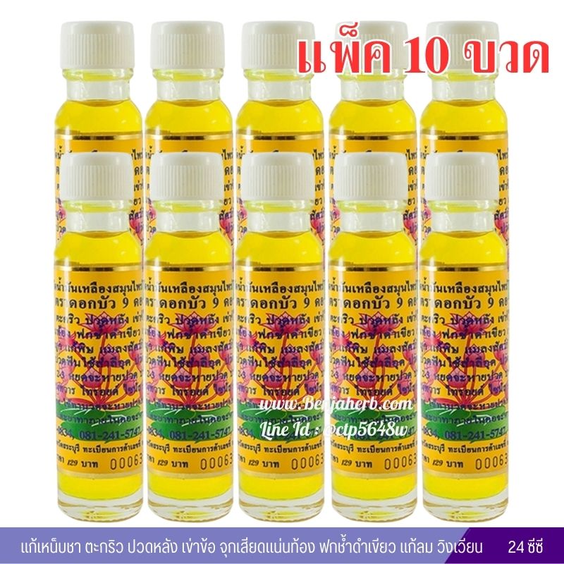 ไพลสกัดน้ำมันเหลืองสมุนไพรไทย – จีน ตราดอกบัว 9 ดอก 24 ซีซี (10 ขวด)