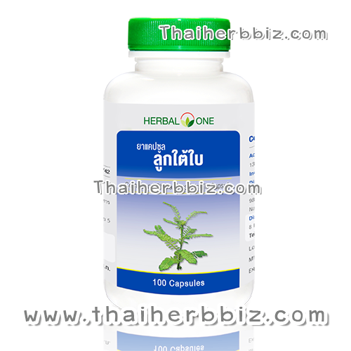 ยาแคปซูลลูกใต้ใบ อ้วยอันโอสถ เฮอร์บัลวัน Herbal One