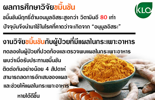 เคอร์มิน500 ผงขมิ้นชันชนิดแคปซูล คุณภาพส่งออก โดยขาวละออ 100 แคปซูล