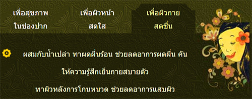 ยาสีฟันวิเศษนิยม VISET-NIYOM (แบบซอง 40 กรัม)