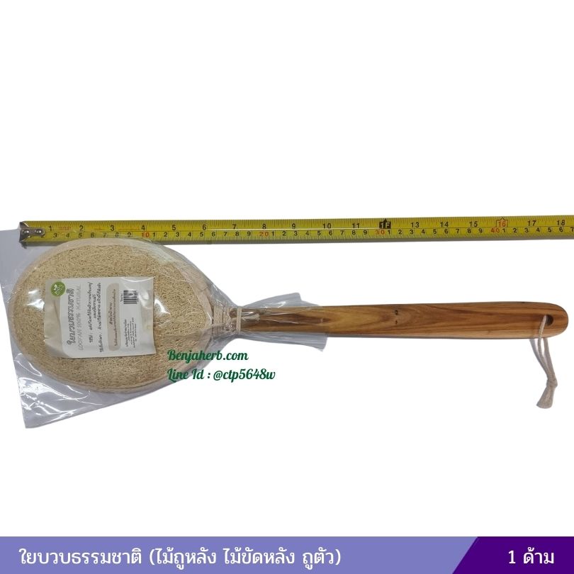 ใยบวบธรรมชาติ วงรีมีด้าม (ไม้ถูหลัง ไม้ขัดหลัง ถูตัว)